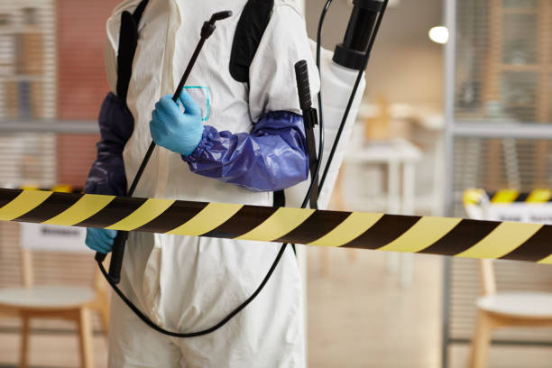 Professional Sewage Cleanup technician working in Bristol, FL